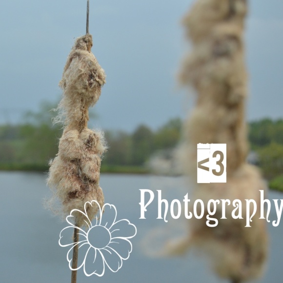 Meet your Posher, Lytia - Picture 5 of 6